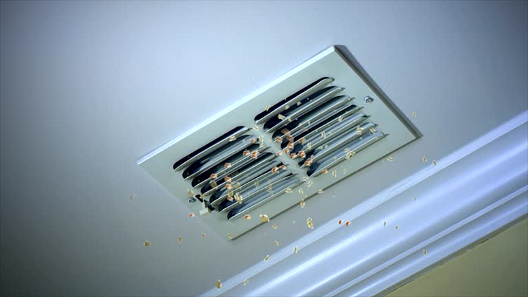 Best Ductwork Cleaning Services  in Wellton, AZ