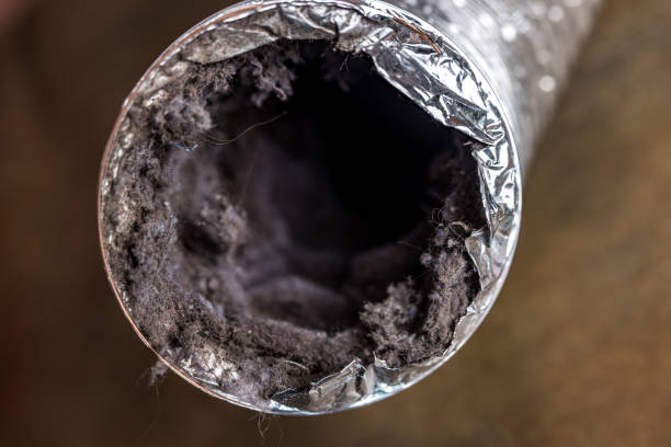 Best Home Air Vent Cleaning  in Wellton, AZ